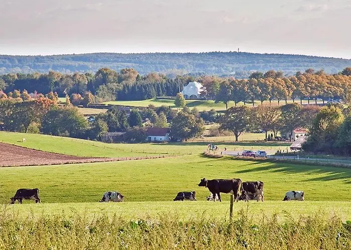 De Harmonie * مولينهوك